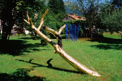 2002 "(ALB) (ORO)" Installazione di Land Art - Belluno Albero (melo), Foglia d' oro, cordino in acciaio, chiodi da alpinismo, bitume