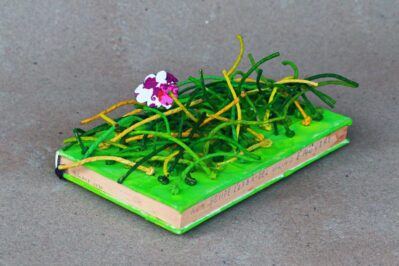 2021 "Libro Oggetto - Non è detto che l' erba del vicino sia sempre piu verde" Libro, stoffa, spago, pigmenti