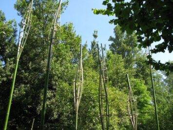 2014 "Hmus Park The Mid open- Land Art" Installazione "Espansione" degli artisti F. Da Rold e G. vazza