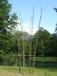 2016 "Humus Park The Mind Opener" 5° Edizione Intrnazionale Land Art Meeting- Sito Palafitticolo del Palù di Livenza (Patrimonio Unesco) Caneva PN. "Il Seme dell' Arte" Installazione dgli artisti F. Da Rold e G. Vazza