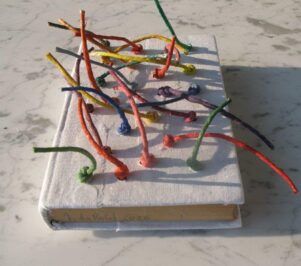 2020 -Libro Oggetto- "Istruzioni, come annaffiare i fiori d'inverno a mille metri di quota"dim.20,7x13,7